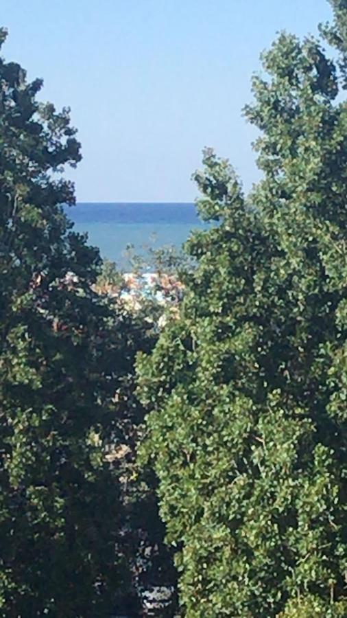Hotel Morri'S Rimini Bagian luar foto
